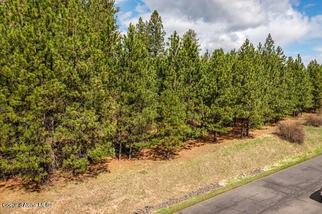 NNA W Platinum Dr, Coeur Dalene ID, 83814 land for sale