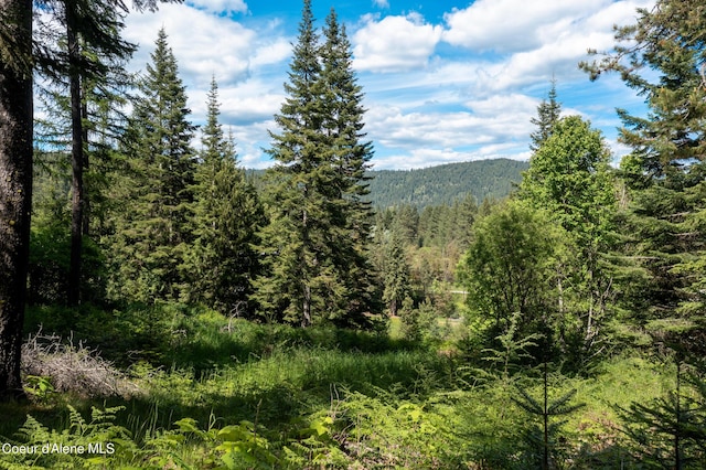 NKA Makridge Ln, Kingston, ID 83839
