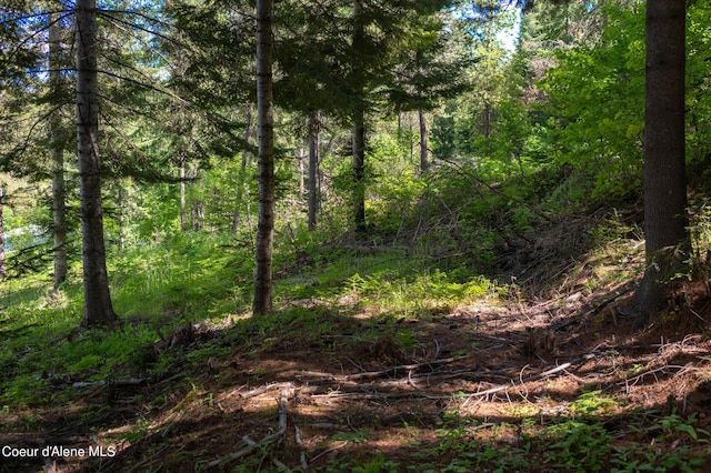 NKA Makridge Ln, Kingston, ID 83839