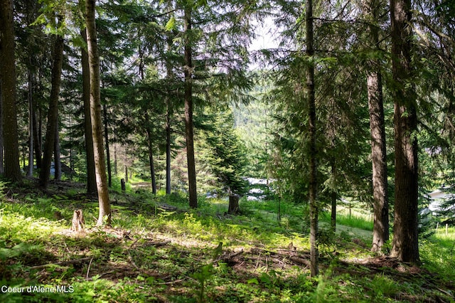 NKA Makridge Ln, Kingston, ID 83839