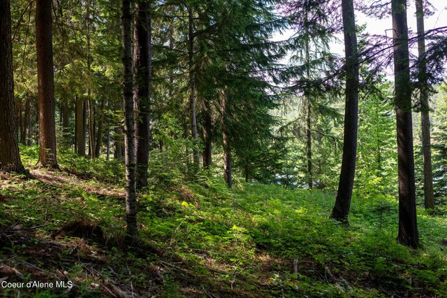 NKA Makridge Ln, Kingston, ID 83839