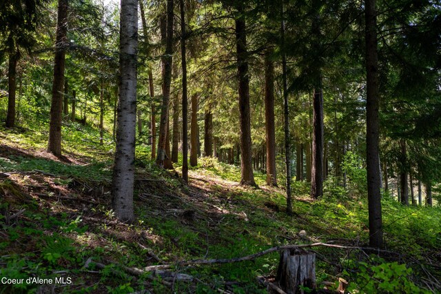 NKA Makridge Ln, Kingston, ID 83839