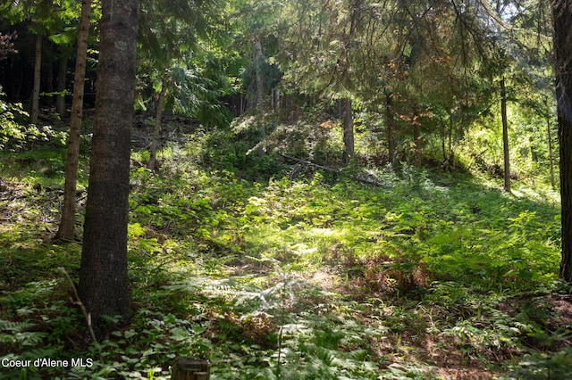 NKA Makridge Ln, Kingston, ID 83839
