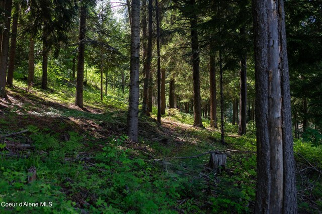 NKA Makridge Ln, Kingston, ID 83839