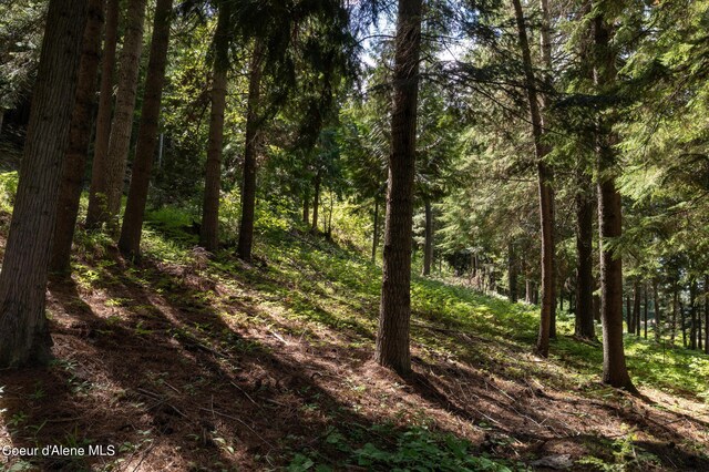 NKA Makridge Ln, Kingston, ID 83839