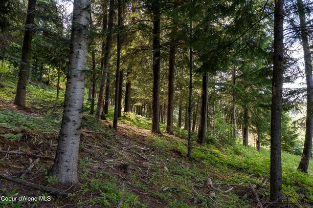 NKA Makridge Ln, Kingston, ID 83839