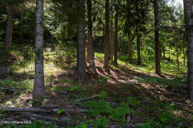 NKA Makridge Ln, Kingston, ID 83839