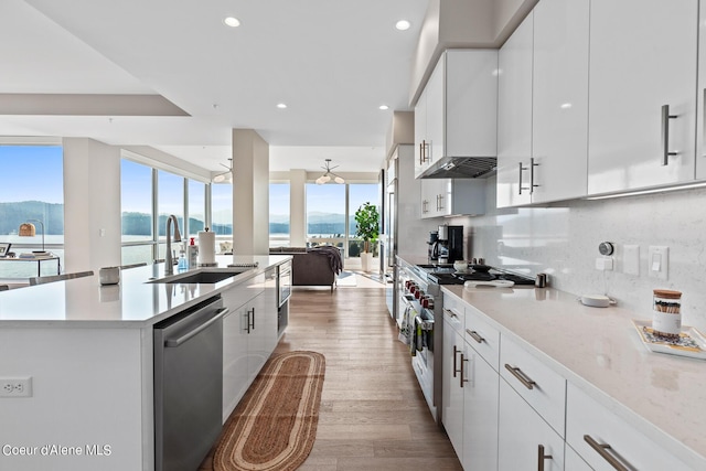 kitchen featuring appliances with stainless steel finishes, tasteful backsplash, a water and mountain view, sink, and white cabinets