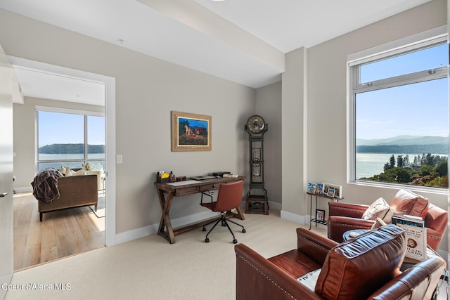 carpeted office space with plenty of natural light and a water and mountain view