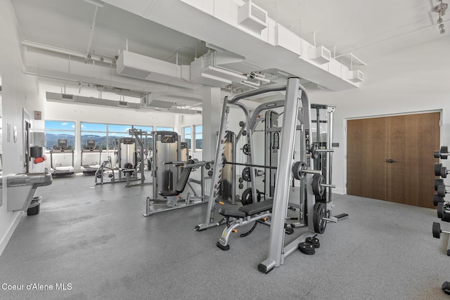 workout area featuring a high ceiling