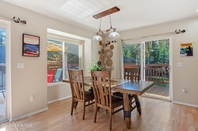 dining room featuring light hardwood / wood-style floors