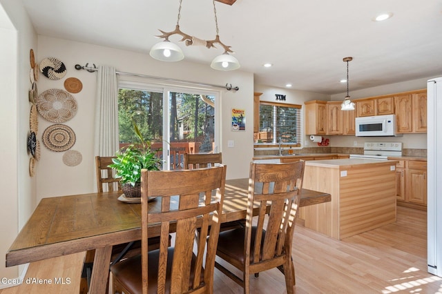 dining room featuring light hardwood / wood-style flooring