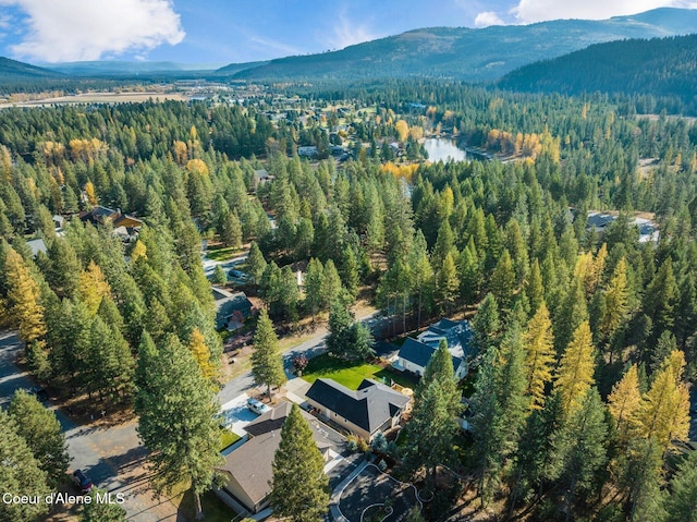 birds eye view of property featuring a mountain view