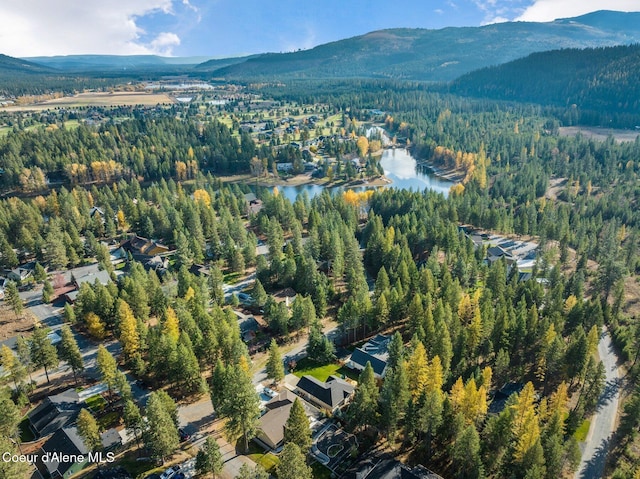 birds eye view of property with a water and mountain view