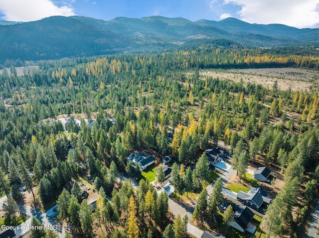 aerial view featuring a mountain view