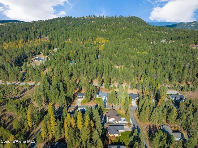 drone / aerial view featuring a mountain view