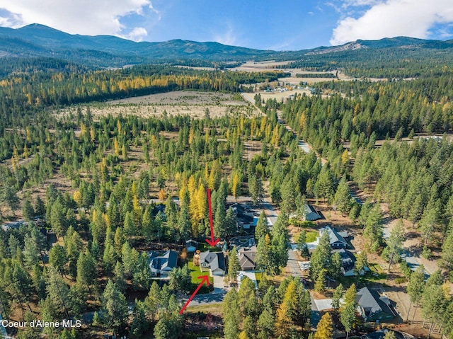 drone / aerial view featuring a mountain view