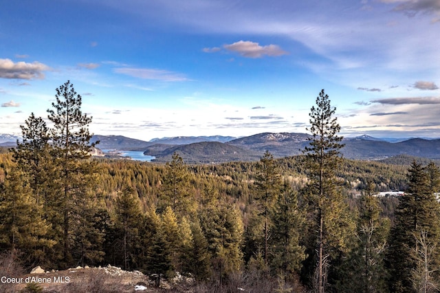 Green Vly, Sandpoint ID, 83864 land for sale