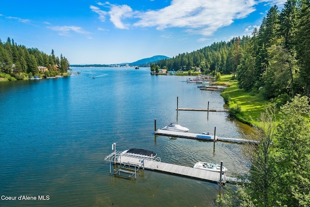 view of dock featuring a water view