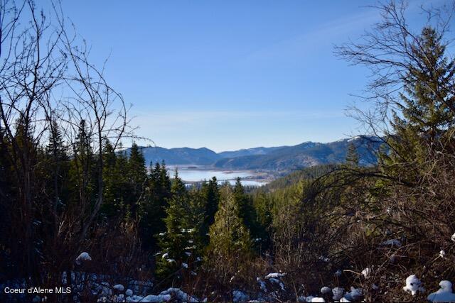 NKA S Eagle Peak, Cataldo ID, 83810 land for sale