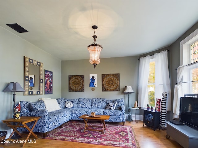 living room featuring wood-type flooring