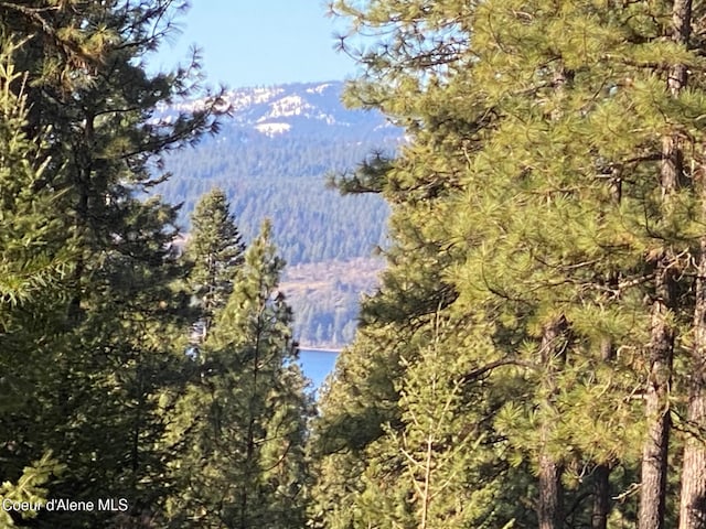 13675 S Edgewater Dr, Harrison ID, 83833 land for sale