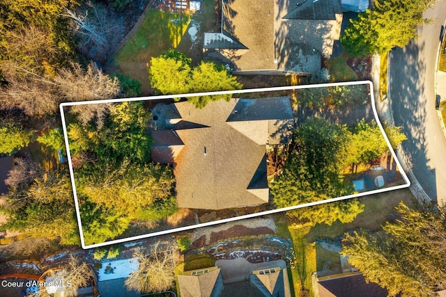 bird's eye view