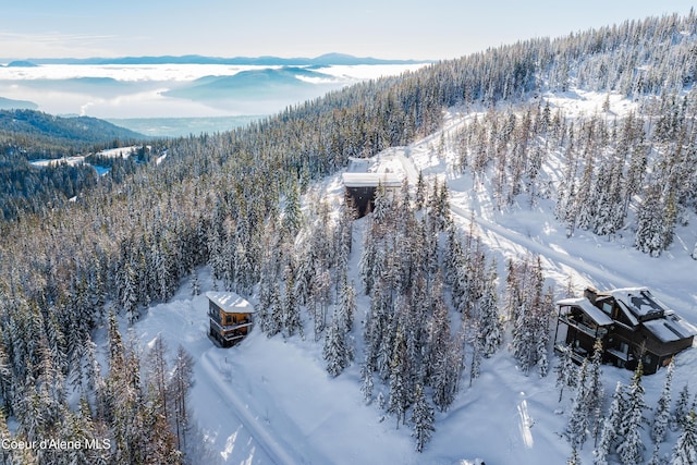 375 Blizzard Dr, Sandpoint, ID 83864