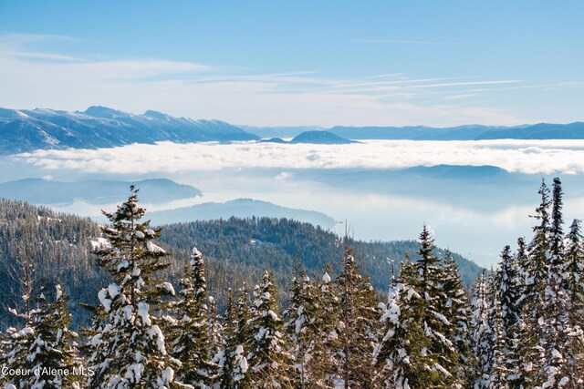 375 Blizzard Dr, Sandpoint, ID 83864