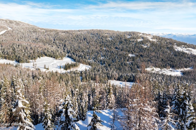 375 Blizzard Dr, Sandpoint, ID 83864