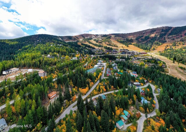 375 Blizzard Dr, Sandpoint, ID 83864