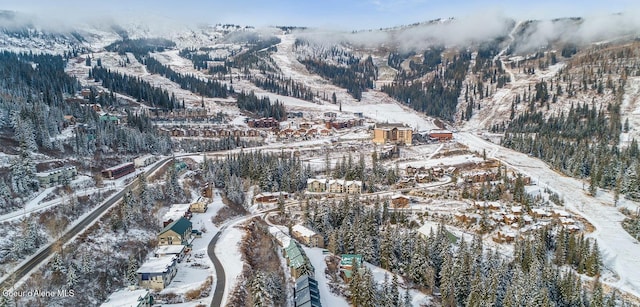 375 Blizzard Dr, Sandpoint, ID 83864