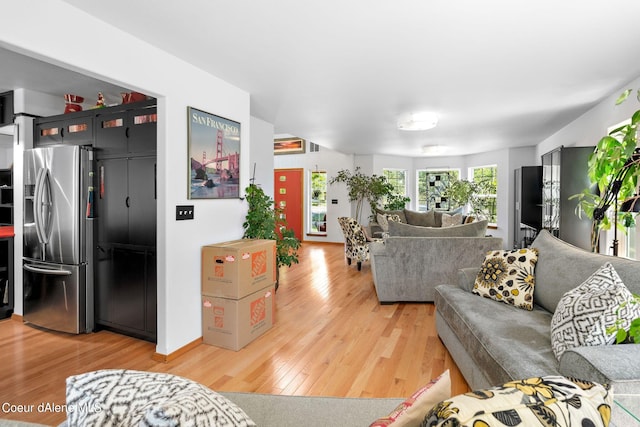 living room featuring wood-type flooring