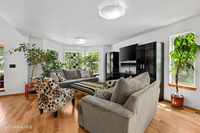 living room featuring light hardwood / wood-style flooring