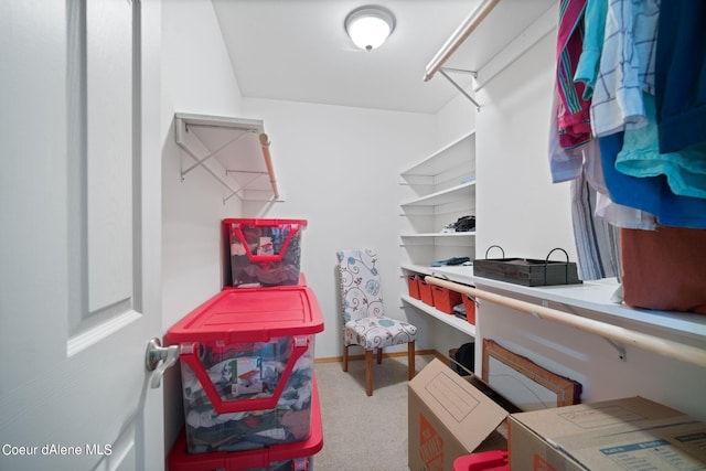 spacious closet with carpet floors