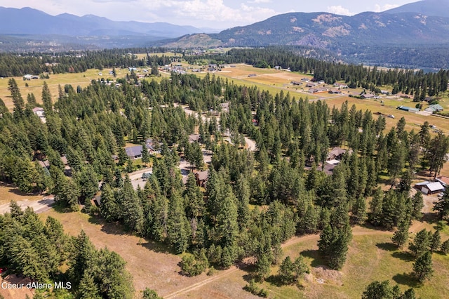 drone / aerial view featuring a mountain view