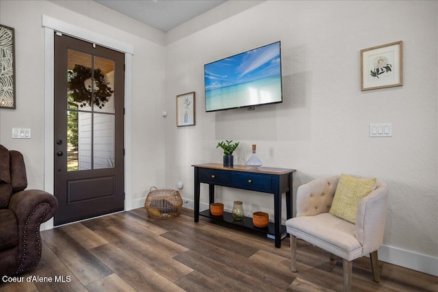 entryway featuring dark wood-type flooring