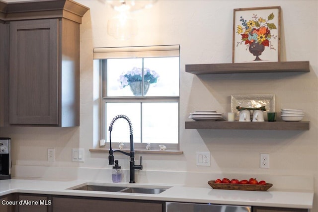 kitchen featuring sink, stainless steel dishwasher, and dark brown cabinetry