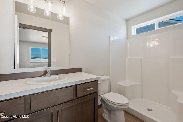 bathroom with vanity, a shower, and toilet