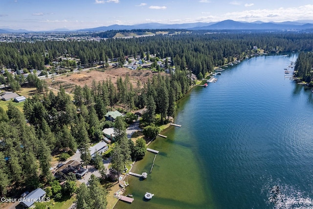 drone / aerial view with a water and mountain view