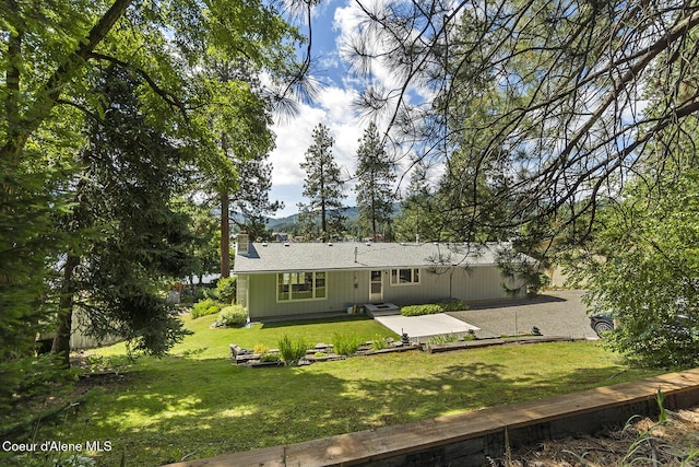 back of house featuring a yard