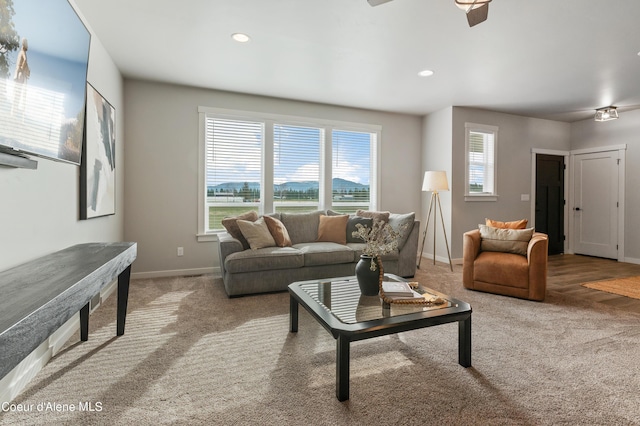 living room with carpet, a wealth of natural light, and baseboards