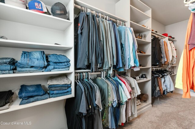 walk in closet featuring carpet floors