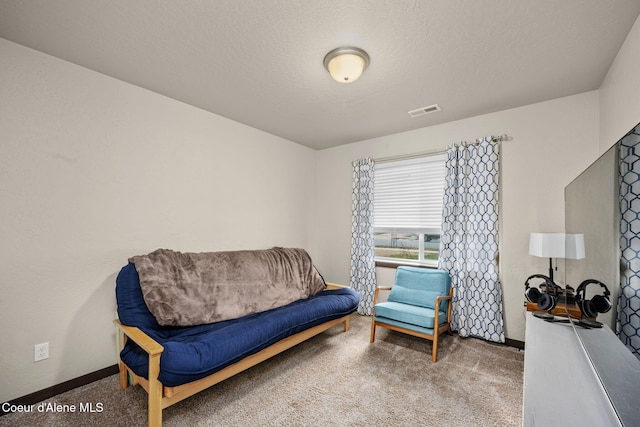 living area with carpet and a textured ceiling