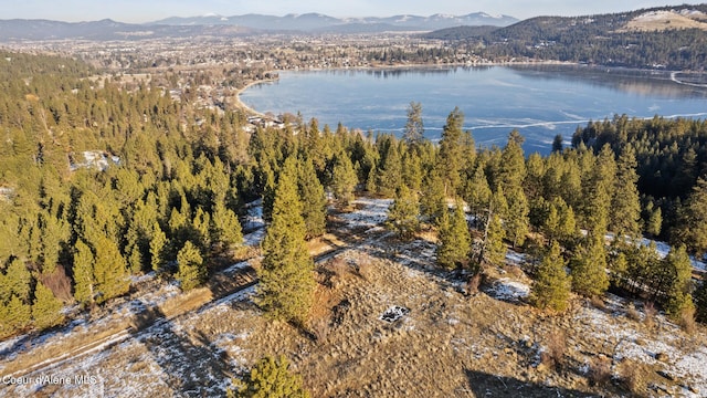 1951 S Molter Rd, Liberty Lake, WA 99019 - photo 5