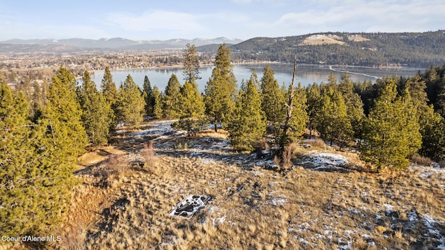 1951 S Molter Rd, Liberty Lake, WA 99019 - photo 8