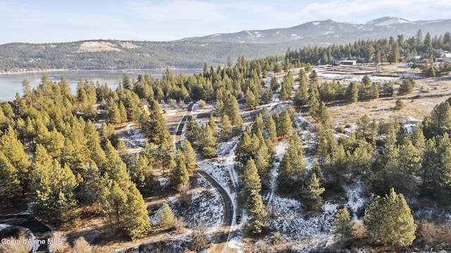1951 S Molter Rd, Liberty Lake, WA 99019 - photo 13