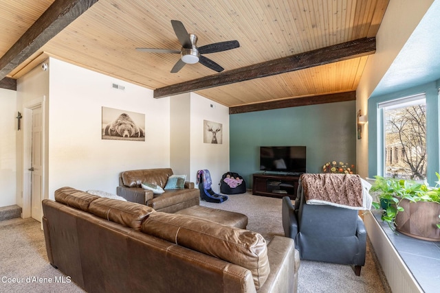 carpeted living room with beam ceiling, wooden ceiling, and ceiling fan