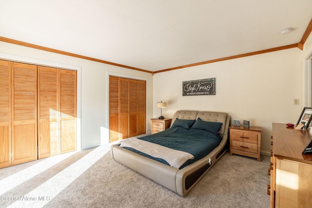 carpeted bedroom with crown molding and multiple closets