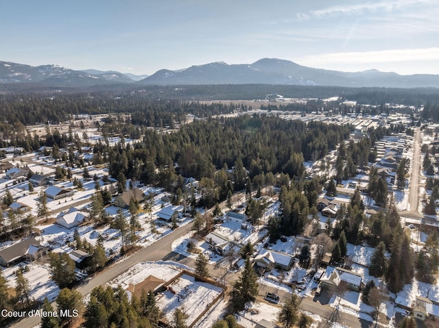 drone / aerial view with a mountain view